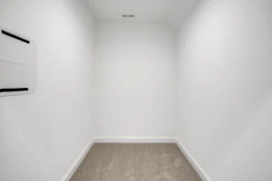 Small white storage room with beige carpet, clean walls, and ceiling vent in modern home.